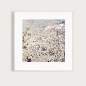 WinterSugar Fine Art Print Photography Photo Winter frosty ice flower image 1