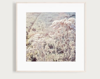 KunstDruck "PuderZucker" - Winter Blumen Frost Kälte