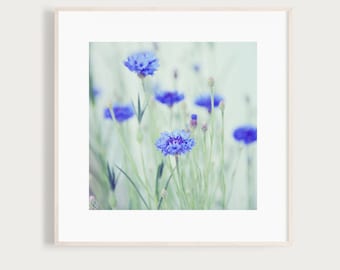 KunstDruck "BlaueBlume" - Kornblume Makro Natur Fotografie