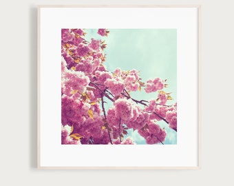 KunstDruck "BlütenBaum" - Frühling Baumblüte Kirschbaum Himmel rosa