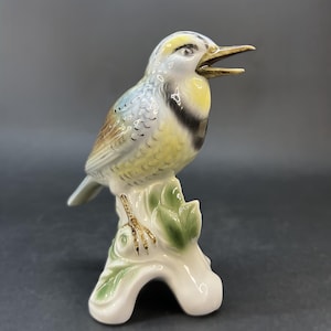 Gerold Porzellan Bavaria Birds - Etsy