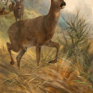 May include: An oil painting depicting a brown deer walking through tall, golden-brown grass. A second, smaller deer is visible in the background. The artwork features visible brushstrokes and a signature in the bottom left corner of the canvas.