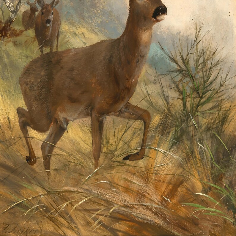 May include: An oil painting depicting a brown deer walking through tall, golden-brown grass. A second, smaller deer is visible in the background. The artwork features visible brushstrokes and a signature in the bottom left corner of the canvas.