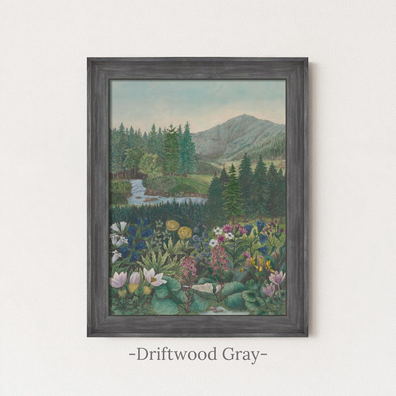 Alpine Wildflower Valley Painting | Vintage Mountain Landscape Wall Art | Botanical Meadow Artwork | Framed Art Driftwood Gray
