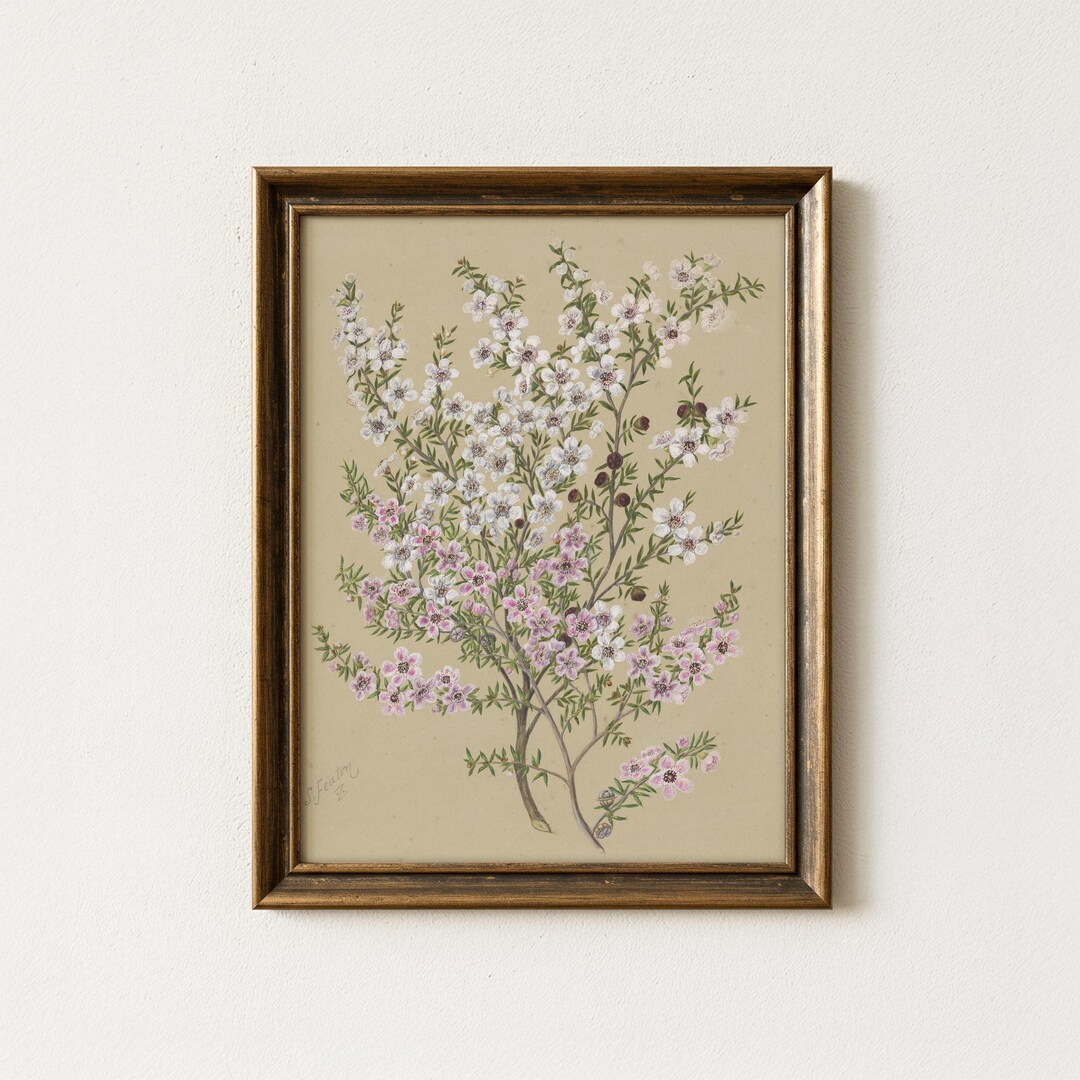 Antique Floral Still Life Painting | Natural Botanical Wall Art ...