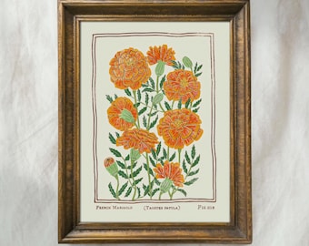 French Marigold Birth Flower Art | October Botanical Wall Decor | Vintage Orange Floral Artwork | Mailed Print