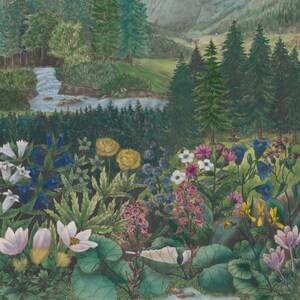 Alpine Wildflower Valley Painting | Vintage Mountain Landscape Wall Art | Botanical Meadow Artwork | Framed Art image 10