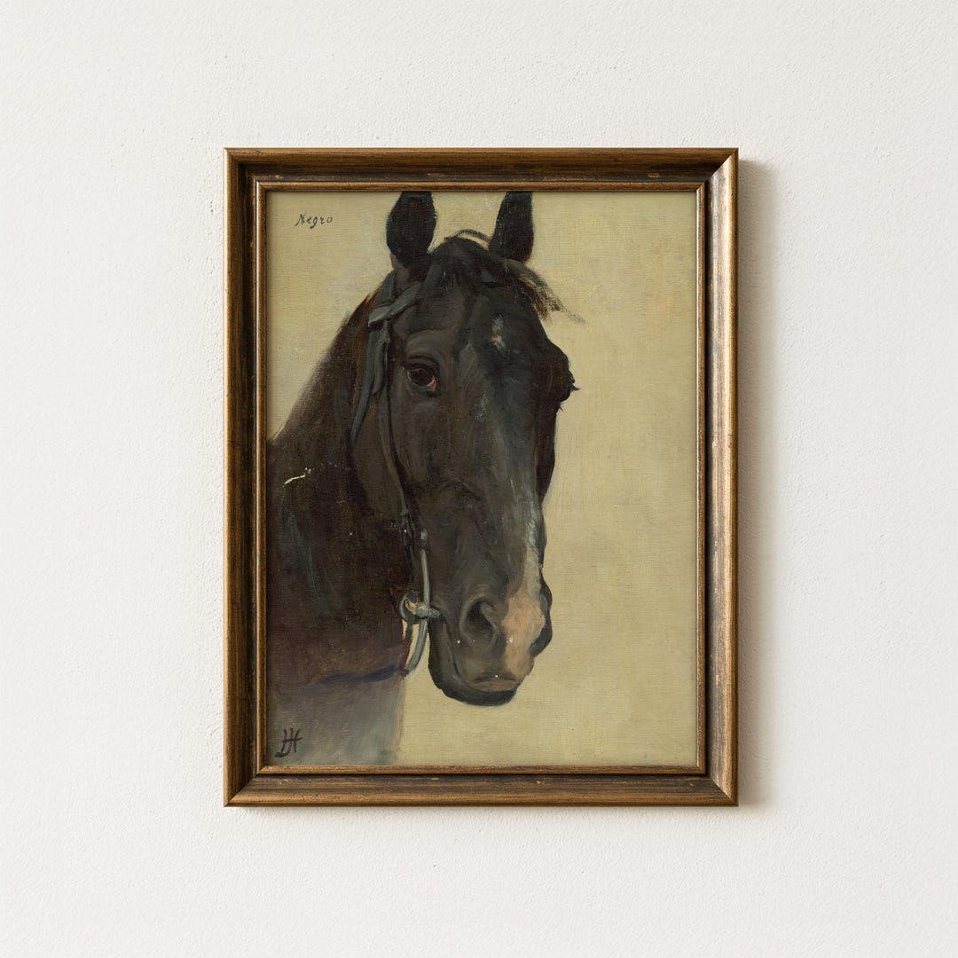 Vintage Black Horse Painting | Antique Equestrian Portrait Artwork ...