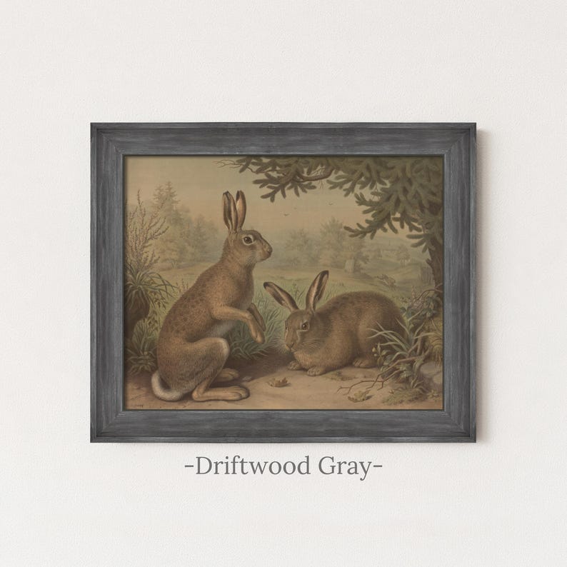 Rustic Rabbit Painting | Vintage Bunny Wall Decor | Antique Woodland Hare Artwork | Mailed Print Driftwood Gray