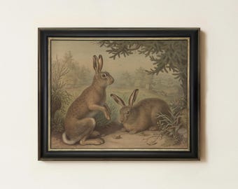 Rustic Rabbit Painting | Vintage Bunny Wall Decor | Antique Woodland Hare Artwork | Mailed Print