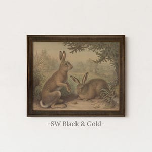 Rustic Rabbit Painting | Vintage Bunny Wall Decor | Antique Woodland Hare Artwork | Mailed Print SW Black Gold