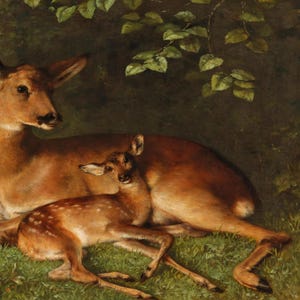 Antique Deer Painting | Rustic Wildlife Wall Decor | Vintage Woodland Fawn Artwork | Framed Art image 10