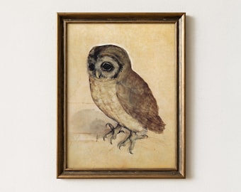 Vintage Antique Owl Painting | Moody Animal Bird Artwork | Rustic Farmhouse Wall Decor | Mailed Print