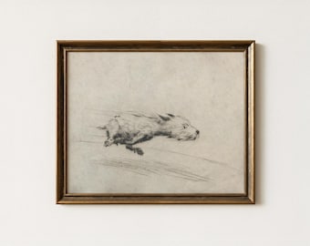 Dog with Zoomies | Antique Dog Portrait Drawing | Minimalist Pet Terrier Sketch Art | Rustic Animal Wall Artwork | Mailed Print