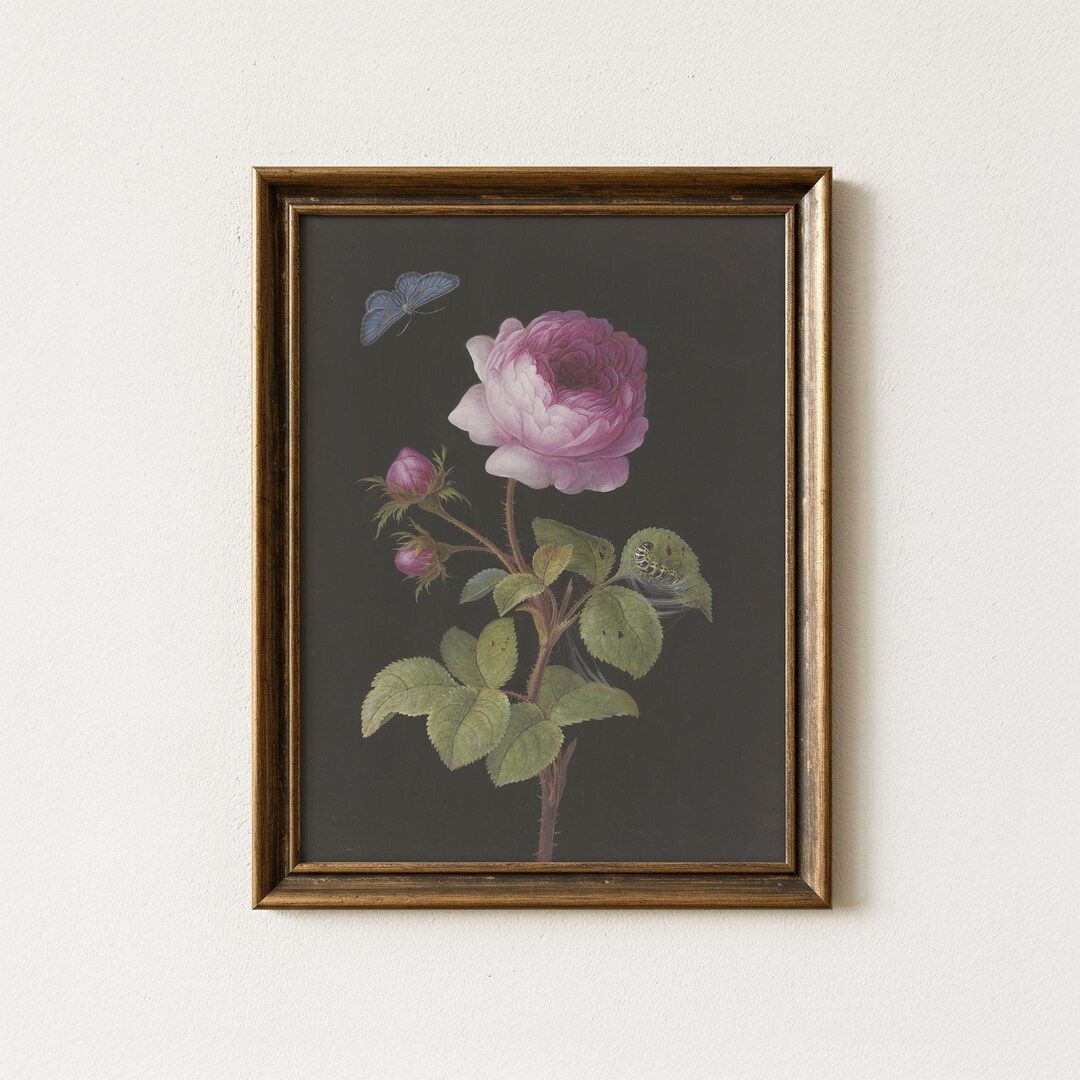 Vintage Rose Painting | Antique Botanical Wall Art | Moody Flower ...