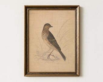 Vintage Bird Sketch | Rustic Neutral Farmhouse Wall Art | Country Farmhouse Animal Home Decor | Mailed Print