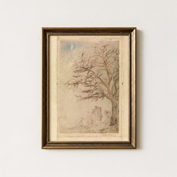 Vintage Tree Drawing Painting | Antique Botanical Sketch Artwork | Neutral Nature Wall Decor | Rustic Farmhouse Tree Art | Mailed Print