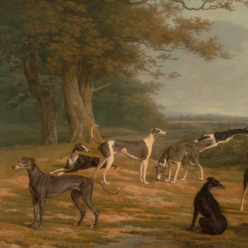 Vintage Greyhound Dog Painting | Antique Animal Artwork | Rustic Farmhouse Wall Decor | Framed Art image 3
