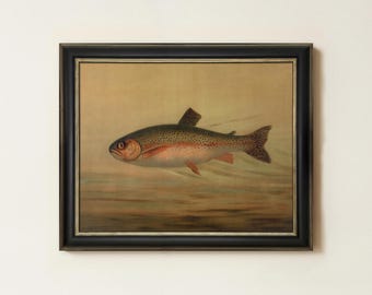 Vintage Rainbow Trout Painting | Brook Trout Fish Artwork | Antique Lake House Decor | Fisherman Wall Art | Mailed Print