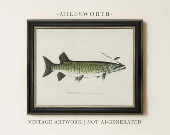 Vintage Muskie Painting | Antique Fishing Wall Decor | Fish Illustration Artwork | Framed Art