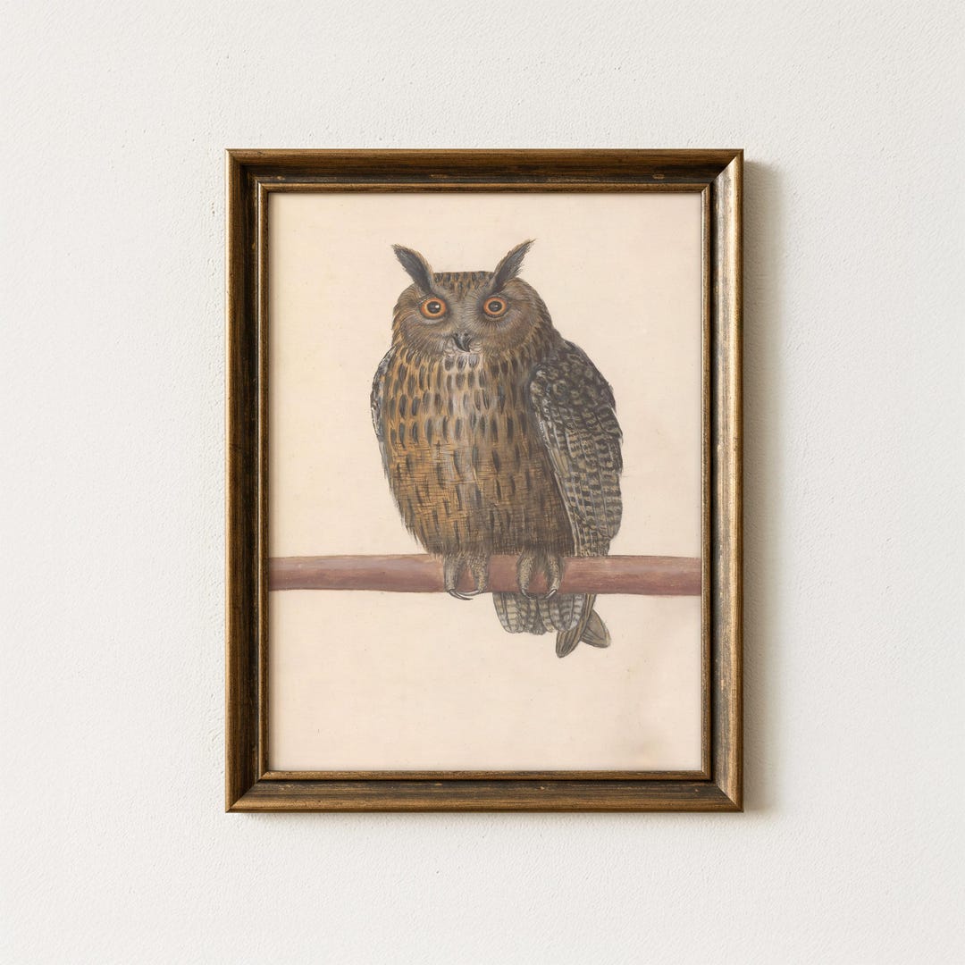 Vintage Owl Painting | Antique Bird Wall Art | Rustic Wildlife Artwork ...