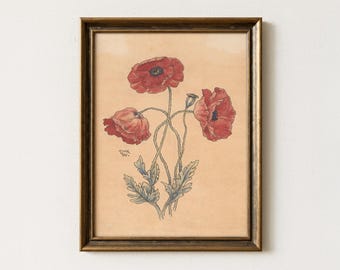 Vintage Red Poppy Painting | Antique Botanical Wall Art | Rustic Flower Home Decor | Mailed Print