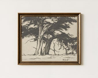 Vintage Forest Trees Drawing | Antique Nature Artwork | Countryside Landscape Sketch Wall Decor | Mailed Print