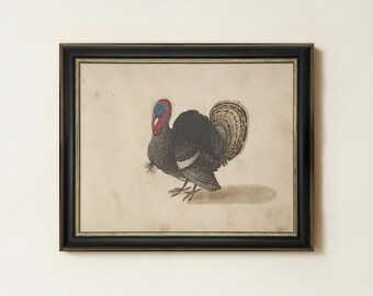 Vintage Turkey Painting | Antique Bird Artwork | Rustic Farmhouse Wall Decor | Mailed Print