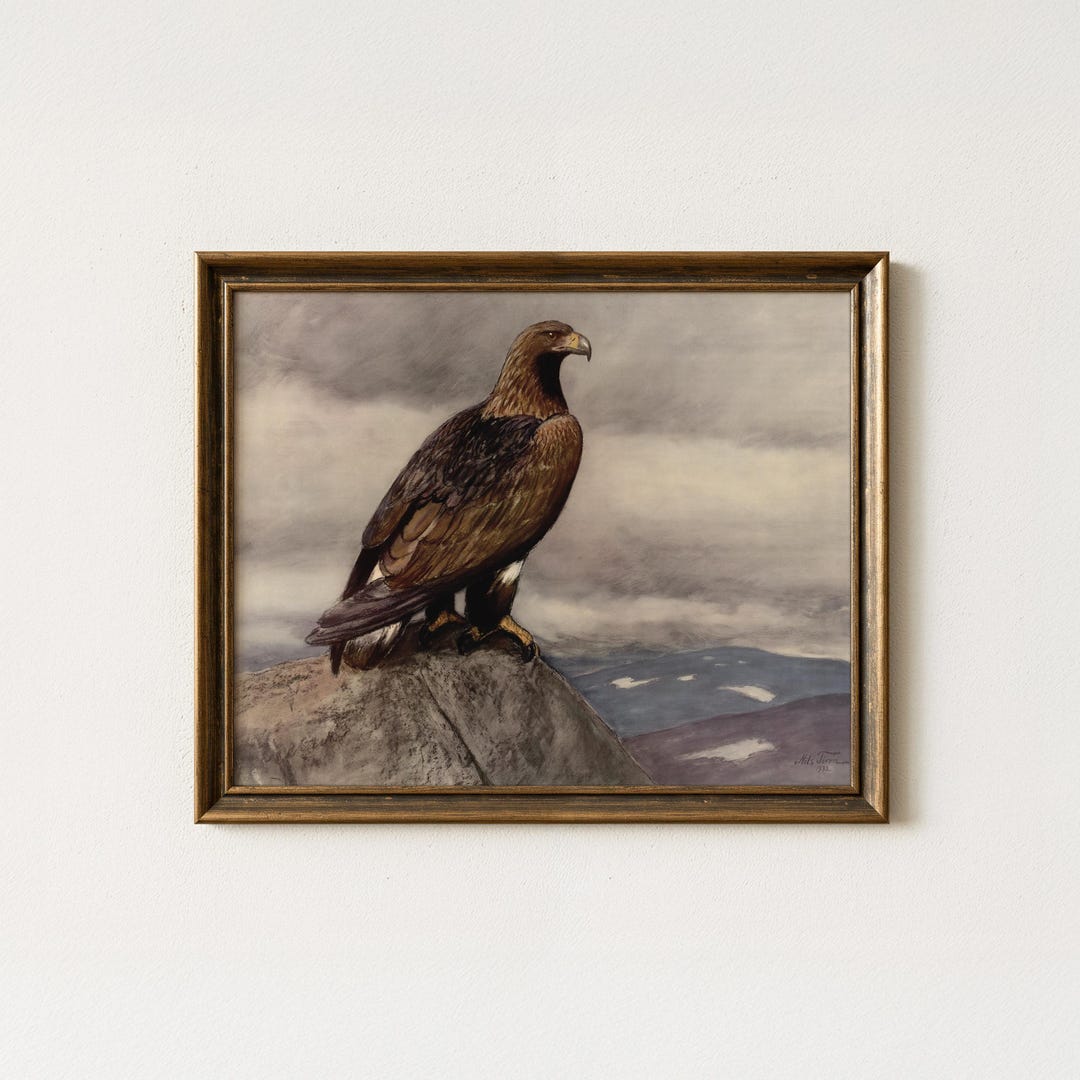 Vintage Golden Eagle Painting | Antique Hawk Wildlife Wall Art | Rustic ...