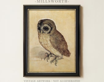 Vintage Antique Owl Painting | Moody Animal Bird Artwork | Rustic Farmhouse Wall Decor | Framed Art