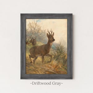 May include: A framed wall art print featuring a painting of two brown deer standing in a grassy field with trees in the background. The frame is a textured, dark grey wood finish labelled as driftwood grey, surrounding the rectangular artwork.