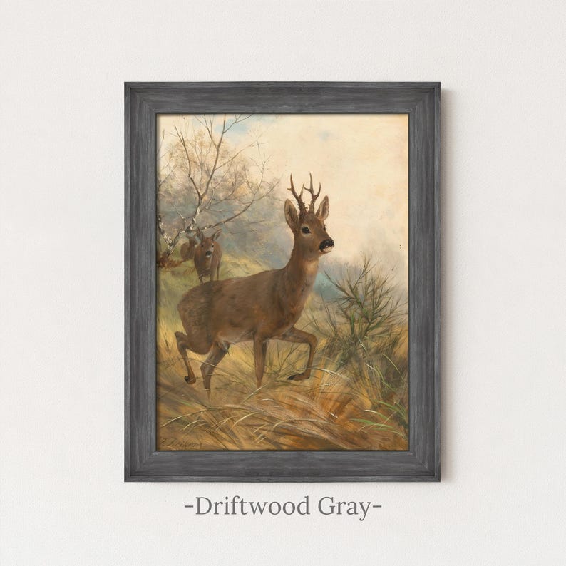 May include: A framed wall art print featuring a painting of two brown deer standing in a grassy field with trees in the background. The frame is a textured, dark grey wood finish labelled as driftwood grey, surrounding the rectangular artwork.