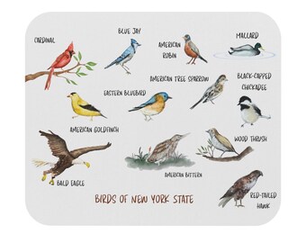 Birdwatching Mouse Pad, Nature Lover Desk Decor, Birds of New York State Gift, Eco-friendly Office Supplies, Christmas Present for Birders