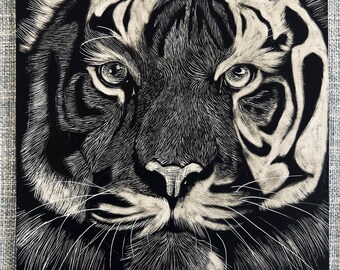 Tablero para rascar Tiger de 6x6 pulgadas