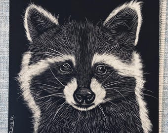 Rascador de mapache de 6x6 pulgadas