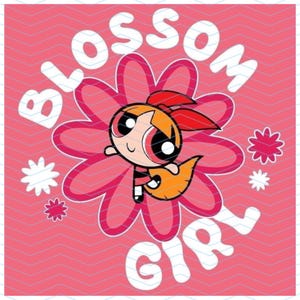 May include: Pink graphic featuring Blossom from The Powerpuff Girls. Blossom is in the center, surrounded by a pink flower outline, with the words "Blossom Girl" in white. The background has a pink chevron pattern.