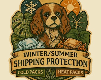Shipping Protection Insulation with heat or cool pack