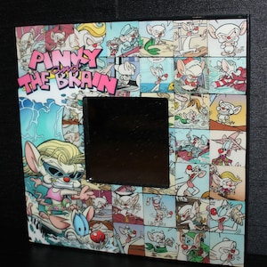 Pinky and The Brain Animaniacs Comic Book Desk or Wall Mirror Mice Mouse Surfer