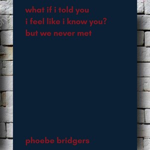 phoebe bridgers- punisher poster