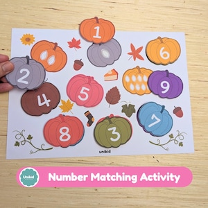 May include: A white sheet featuring a number matching activity with colourful pumpkin illustrations labelled with numbers one through nine. The pumpkins are orange, purple, blue, green, pink, and brown, accented by small autumn leaves and acorns.