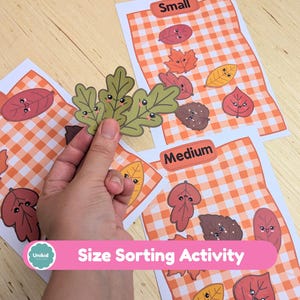 May include: A size sorting activity educational set featuring three printed sheets with orange gingham backgrounds labeled Big, Medium, and Small. Each sheet displays various cartoon leaves with faces. A hand holds a green oak leaf cutout.
