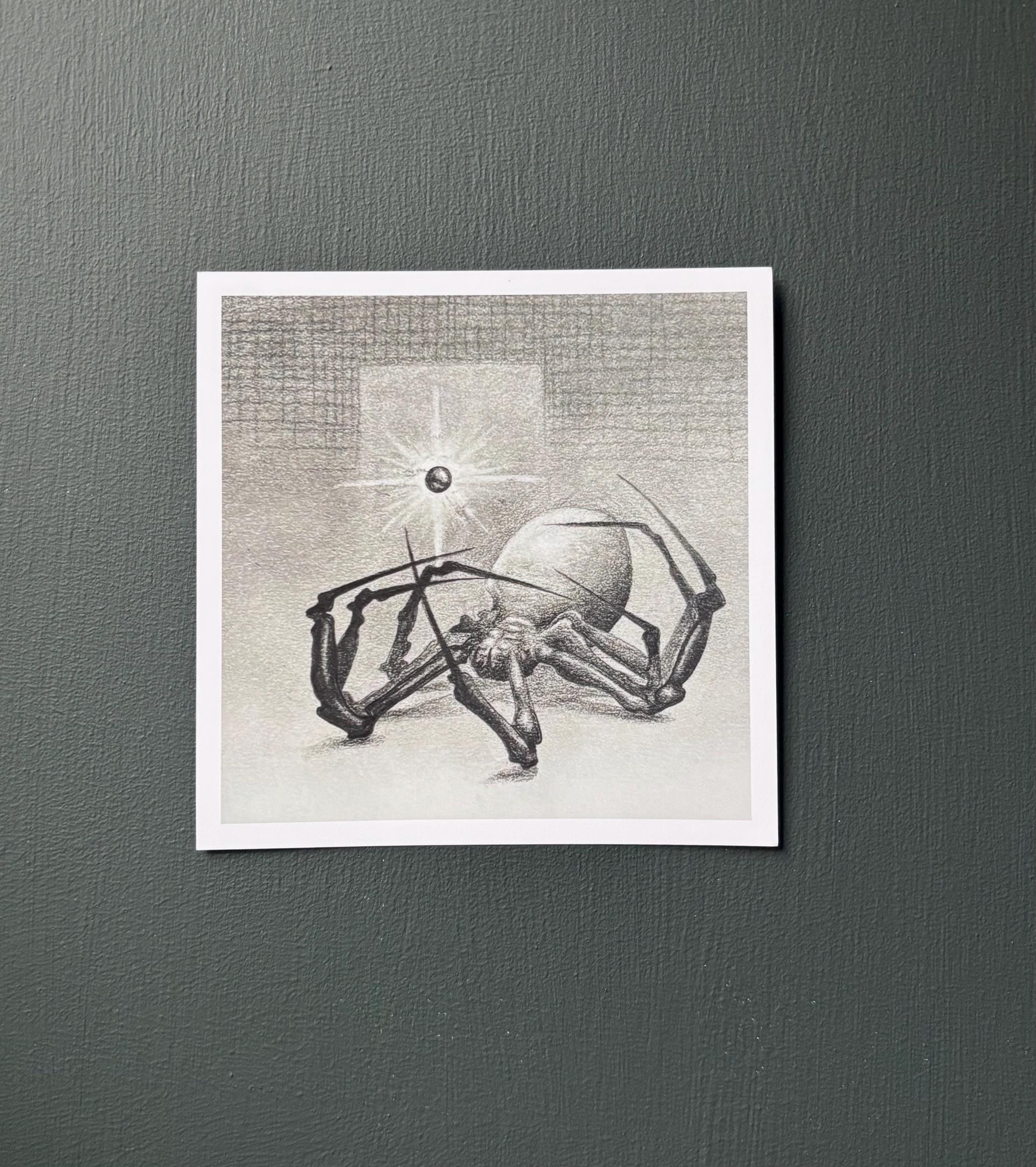 New Beginnings, Spider Graphite Drawing Print - Etsy