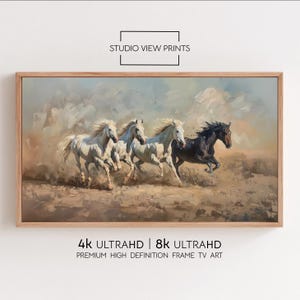 May include: A framed print featuring four horses running across a dusty landscape. The artwork showcases three white horses and one black horse, with the text "STUDIO VIEW PRINTS" and "4K ULTRAHD | 8K ULTRAHD" visible.
