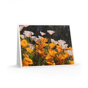 Tarjetas de notas con amapolas de primavera y flores silvestres (juego de 8) - Ideales para cumpleaños, agradecimientos y amantes de la naturaleza