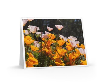 Poppy Wildflower Note Cards - Set of 8 - Spring Greetings