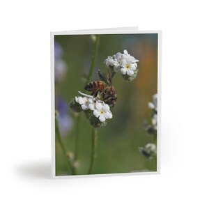 Lot de 8 cartes de correspondance florales abeilles, parfaites pour les anniversaires, les remerciements et les amoureux de la nature