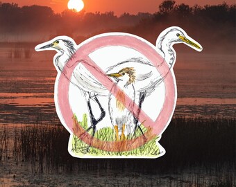 No Egrets Sticker, Nature & Bird Lover Decor