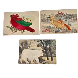 Art folklorique antique Art plume oiseau ours polaire velu Cartes postales dessinées à la main