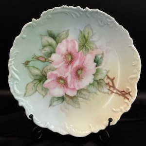 Antique Rosenthal Bavaria Hand Painted Porcelain Plate