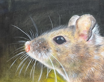 Realistic Rat in Chalk Pastel - 12x9 Inches